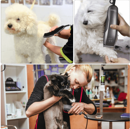 HATTEKER pet hair clipper Dog Cat Hair Trimmer Animal - HATTEKER